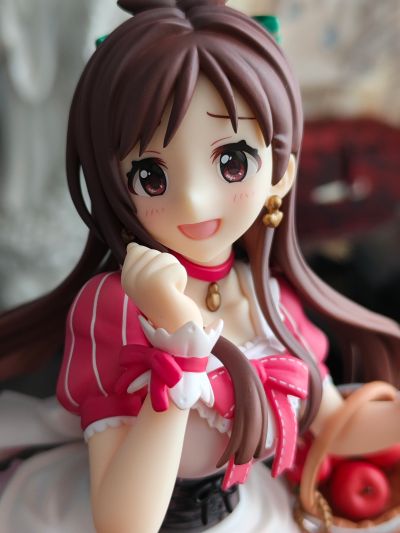 偶像大师 灰姑娘女孩 辻野朱里