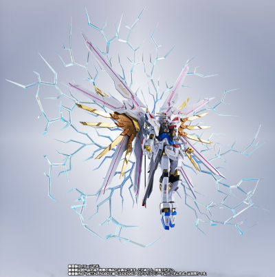 METAL ROBOT魂＜机动战士系列＞ 骄傲捍卫者与特效配件包