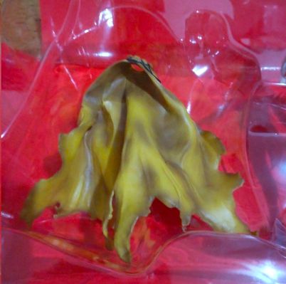 SIF EX 新暗行御史 山道