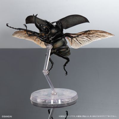 高级生物大图鉴  象兜虫 与 长戟大兜虫 展示架套装