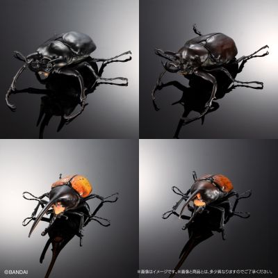 高级生物大图鉴  象兜虫 与 长戟大兜虫 展示架套装