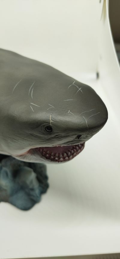 巨齿鲨 鬼颚
