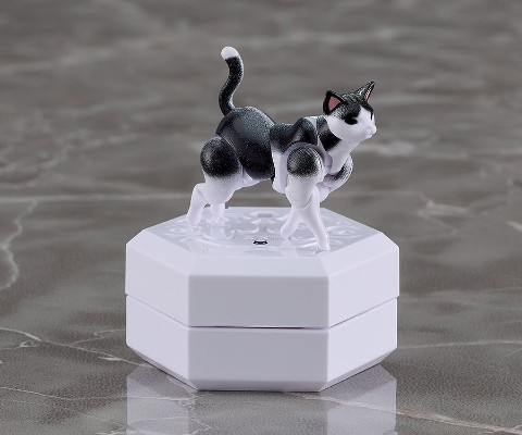 chitocerium nightmare XXII-tanio schrödinger box