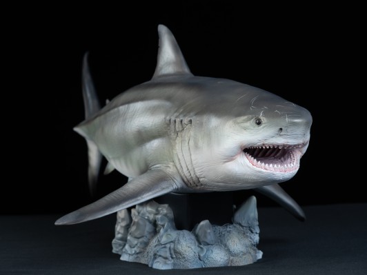 巨齿鲨 鬼颚