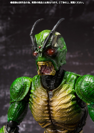 S.H.Figuarts 假面骑士真