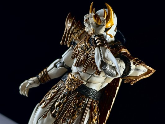 S.H.Figuarts(真骨雕制法) 恩·达古巴·灾巴