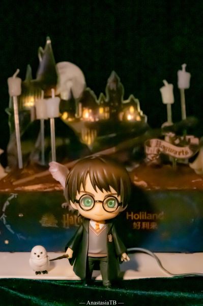 黏土人×DOLL 哈利波特 哈利波特