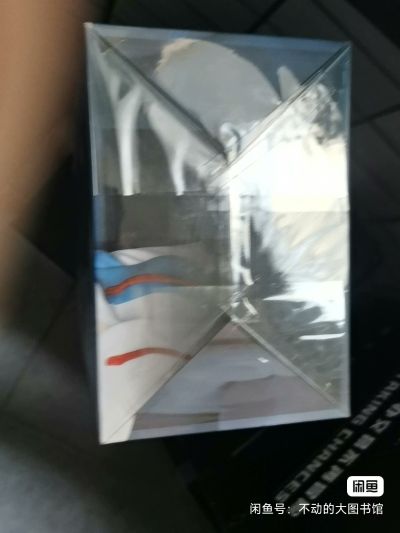 新世纪福音战士 绫波丽