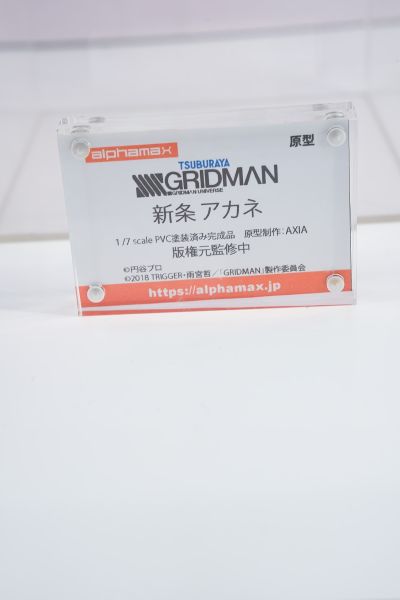 美少女万华镜 -被诅咒的传说少女- 篝之雾枝 内衣