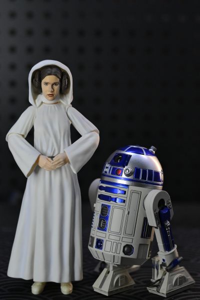 S.H.Figuarts 星球大战IV：新希望 莱娅·奥加纳公主