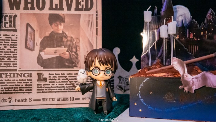 黏土人×DOLL 哈利波特 哈利波特