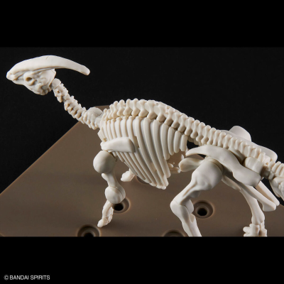 恐龙拼装模型  副栉龙