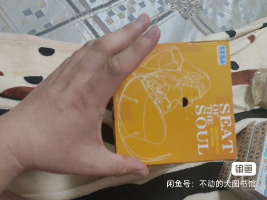 EVA新剧场版 绫波丽 Seat of Soul 