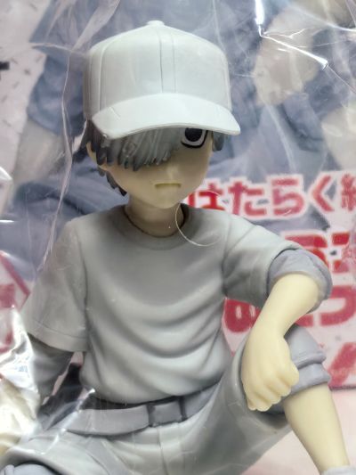 工作细胞 白细胞 U-1146