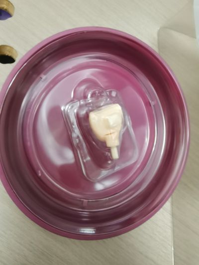 赛马娘 闪耀！优俊少女  米浴