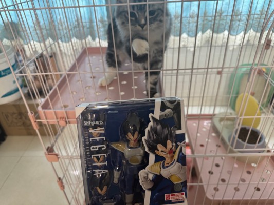 S.H.Figuarts  龙珠Z 贝吉塔-24000的战斗力-