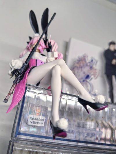 压泡面 命运-冠位指定  暗匿者-光之高扬斯卡娅（最终再临）