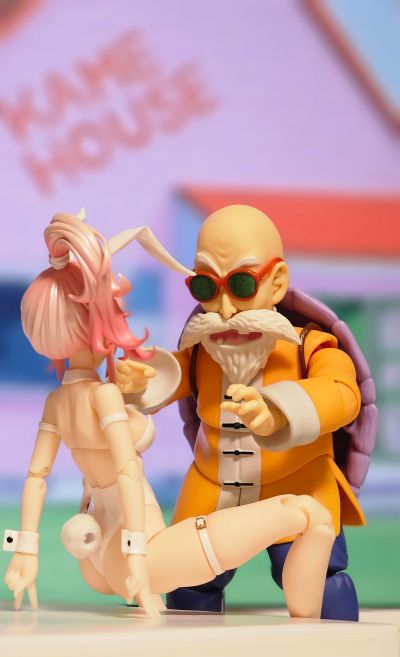 S.H.F 龙珠 龟仙人