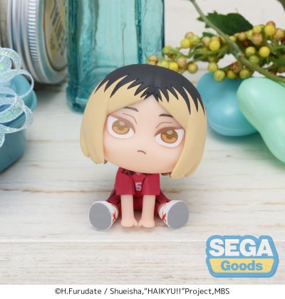 排球少年 动画版 大眼萌我精细人偶 黑尾+孤爪