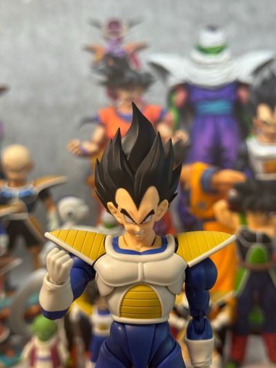 S.H.Figuarts  龙珠Z 贝吉塔-24000的战斗力-