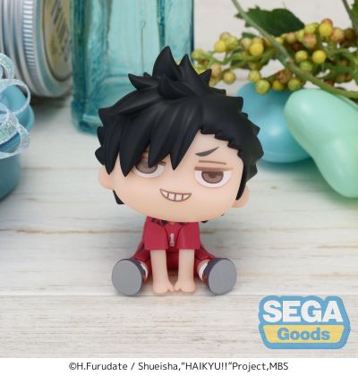 排球少年 动画版 大眼萌我精细人偶 黑尾+孤爪