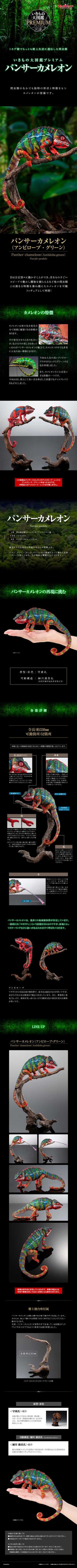 高级生物大图鉴 豹变色龙（安比卢贝·绿）