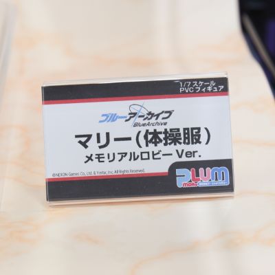 蔚蓝档案 伊落玛丽 体操服 纪念大厅版