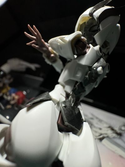 无限邂逅 追踪者