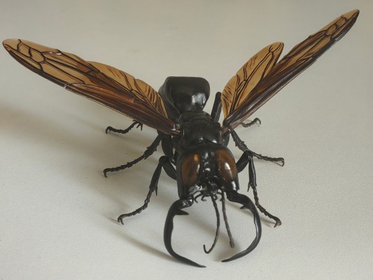 进化生物大图鉴 胡蜂 2 加鲁达巨唇泥蜂 + 展示架套装