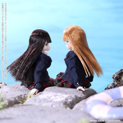 PID053-MHA Picco Ex☆Cute/放学后的米娅 1.1版 秋叶原广播会馆品牌店开业10周年纪念款(AZONE网上商店限定)