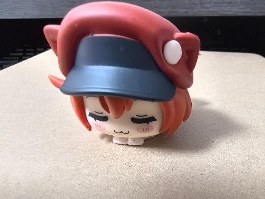 工作细胞 红细胞