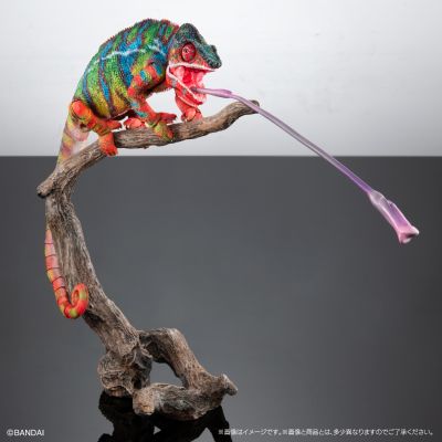 高级生物大图鉴 豹变色龙（安比卢贝·绿）