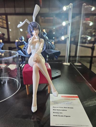 青春猪头少年系列 樱岛麻衣 兔女郎