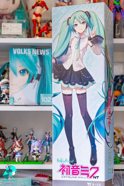 Dollfie Dream 初音未来 NT