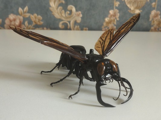 进化生物大图鉴 胡蜂 2 加鲁达巨唇泥蜂 + 展示架套装