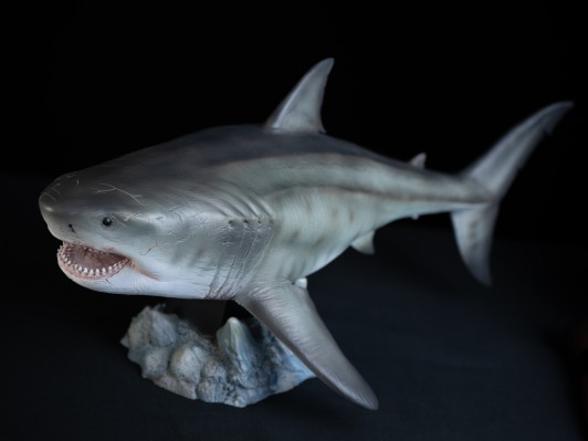 巨齿鲨 鬼颚