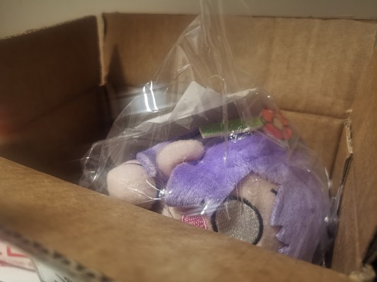 爱与演唱会！莲之空女学院学园偶像俱乐部  趴趴毛绒玩偶 乙宗梢 －Dream Believers （S码）