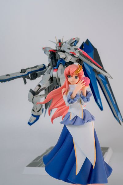 METAL BUILD 机动战士高达SEED ZGMF-X10A 自由高达