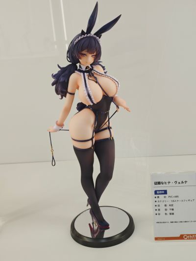 【224p】WF2024 夏 个人随拍 企业馆版