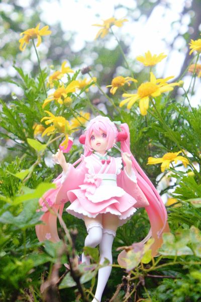 Coreful  樱花未来~和风咖啡馆~