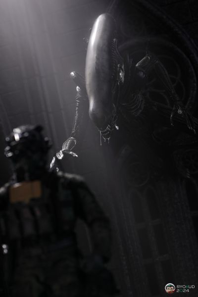 S.H.MonsterArts 异形战士