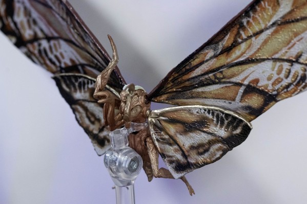 S.H.MonsterArts 迷你金刚与摩斯拉（2024）《哥斯拉大战金刚2：帝国崛起》