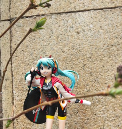 Espresto est-Prints&Texture- 初音未来 赛车初音 2020 UKYO队应援