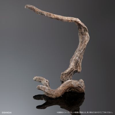 高级生物大图鉴 豹变色龙（安比卢贝·绿）