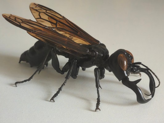 进化生物大图鉴 胡蜂 2 加鲁达巨唇泥蜂 + 展示架套装