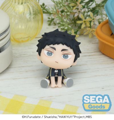 排球少年 动画版 大眼萌我精细人偶 木兔+赤苇