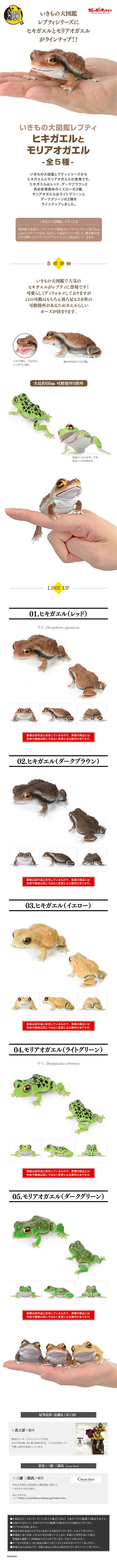 爬行生物大图鉴 蟾蜍 与 森树蛙