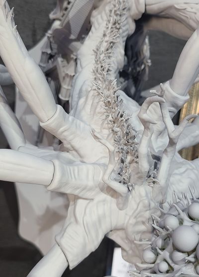 血源诅咒 阿米戈达拉/亚弥达拉