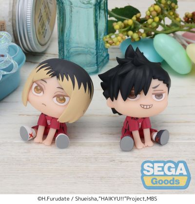 排球少年 动画版 大眼萌我精细人偶 黑尾+孤爪