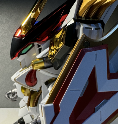 METAL BUILD DRAGON SCALE  龙王丸